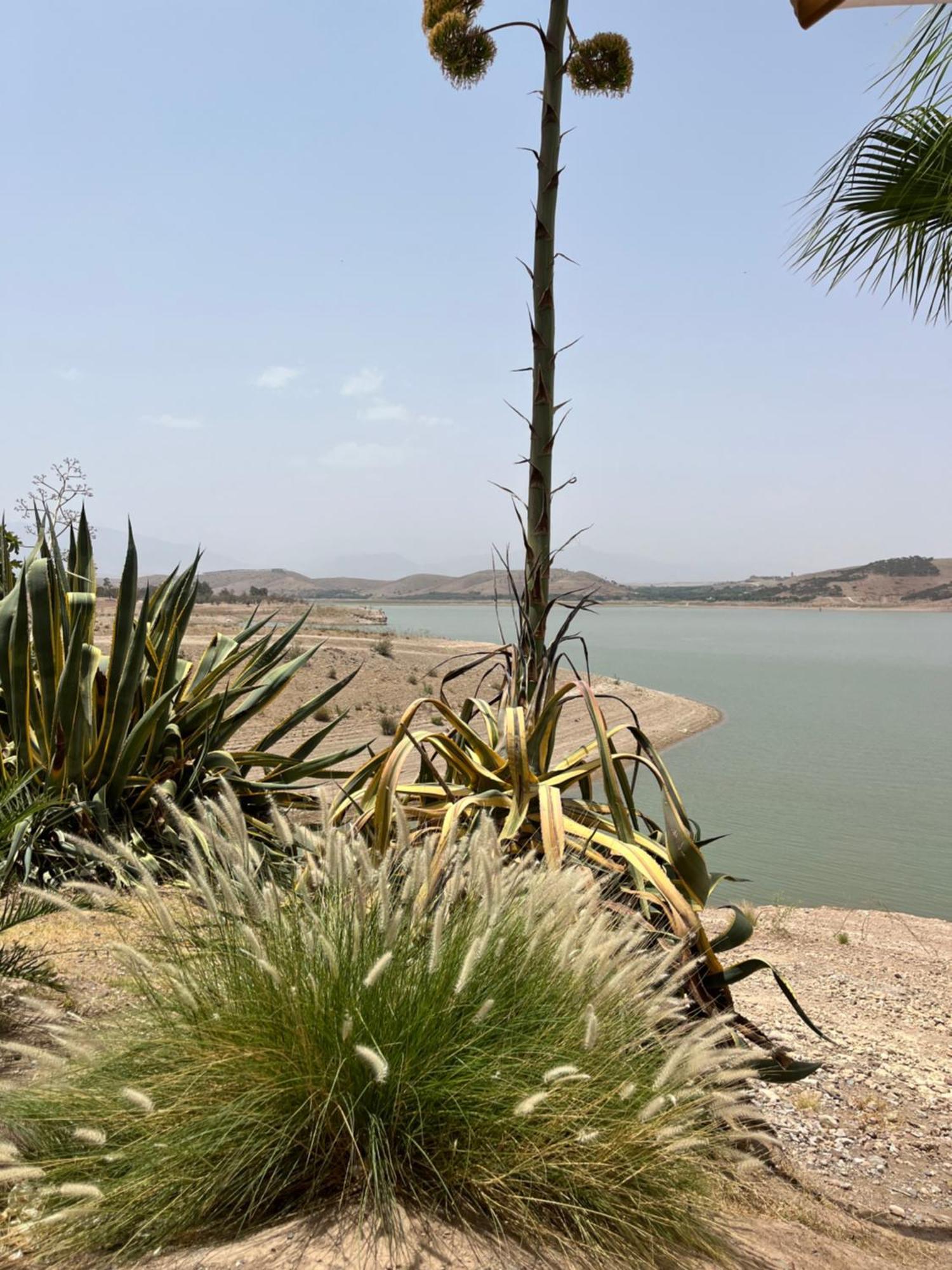Le Patio Du Lac Lalla Takerkoust ภายนอก รูปภาพ